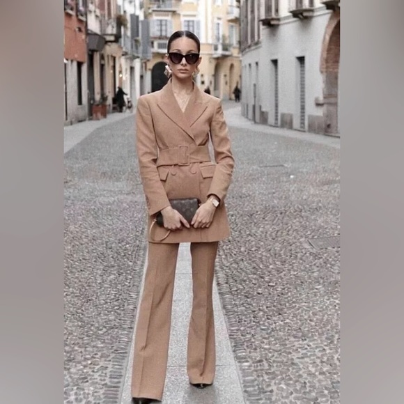 NWT Blogger’s Favorite Luxury Minimalist Zara Double Breasted Camel Coat/Dress - Picture 11 of 17